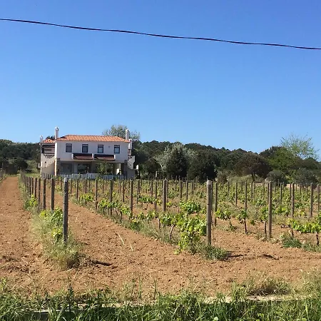 Casa Mini Bozcaada * Bozcaada