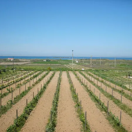 Casa Mini Bozcaada Bozcaada