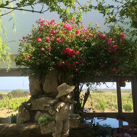 Bed & Breakfast Casa Mini Bozcaada