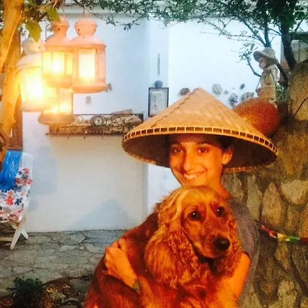 Casa Mini Bozcaada Bed & Breakfast *