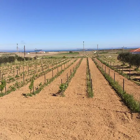 Casa Mini Bozcaada * Bozcaada