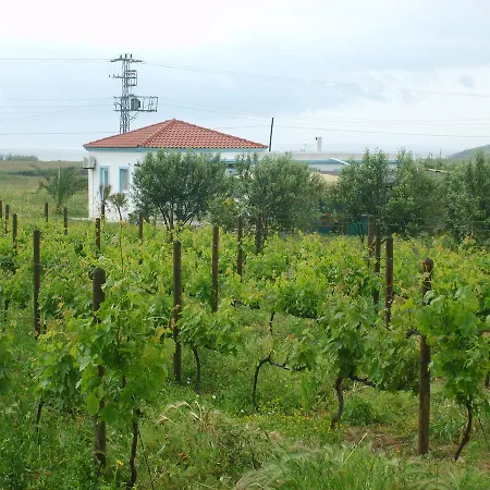 Bed and breakfast Casa Mini Bozcaada *