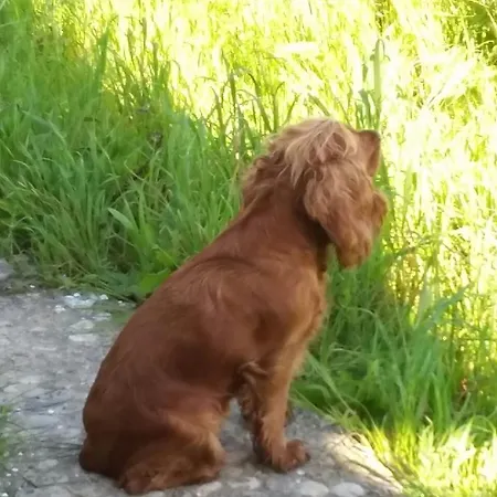 Casa Mini Bozcaada *