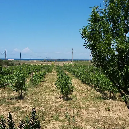 Casa Mini Bozcaada * Tenedos