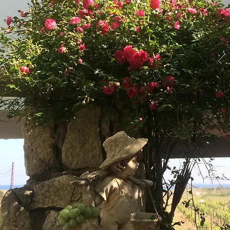 Casa Mini Bozcaada Tenedos